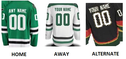 (image for) DALLAS Pro Hockey Number Kit - Click Image to Close