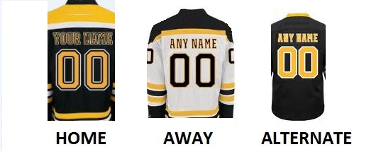 nhl jersey name and number kit